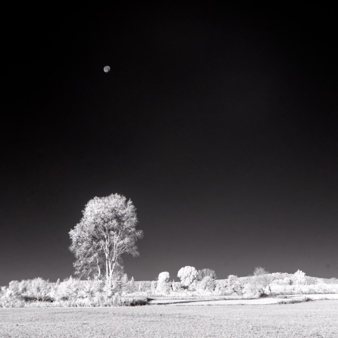 Infrared Landscape with Moon