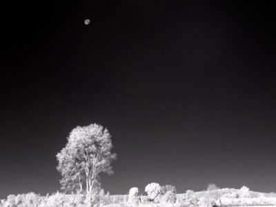 Infrared Landscape with Moon